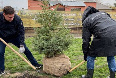 Депутаты помогли в озеленении сквера 